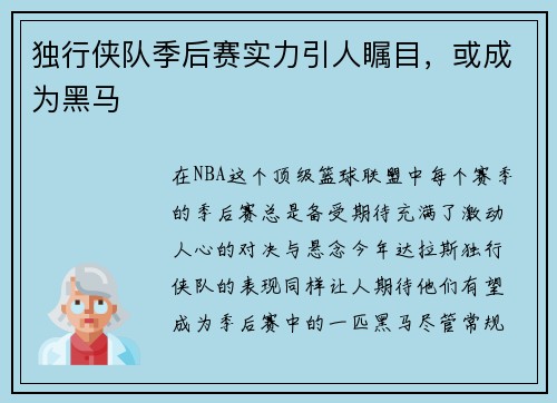 独行侠队季后赛实力引人瞩目，或成为黑马
